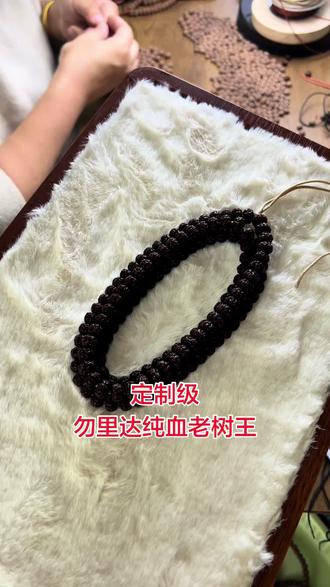 定制级 勿里达纯血老树王#老树王 #平细小金刚 #佛手小金刚 #一代龙 #老树梅花金刚