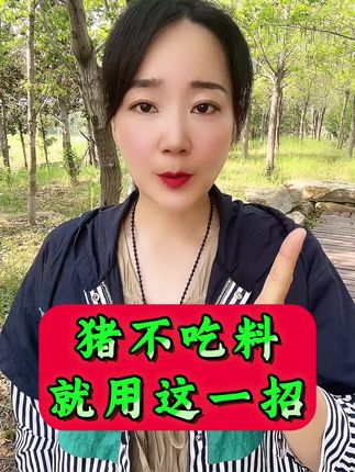 猪不吃料就用这一招 #养猪 #养猪人加油干 #养猪人 #养猪人不容易 #猪不吃 猪不吃料就用这一招