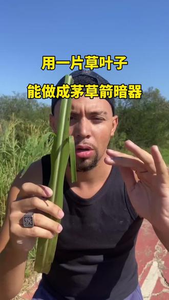 用一片叶子,能做成茅草箭暗器