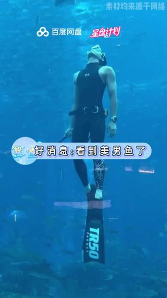 网友三亚水族馆偶遇吴磊自由潜 #吴磊美人鱼 #吴磊自由潜 #百度网盘星盘计划