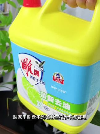 雕牌洗洁精 清新去油 #雕牌 #洗洁精 #大桶洗洁精 #去油污 #厨房好物