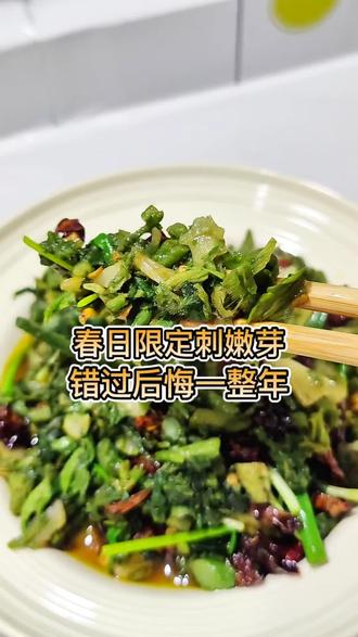 春日限定刺嫩芽,错过后悔一整年#为家乡美食打call #野菜 #刺嫩芽做法 #乡巴佬私房菜 #吃出春天的味道 @DOU+小助手