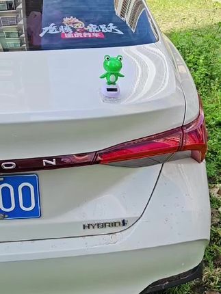 看见太阳就跳舞的绿皮#车载好物