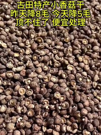 古田特产香菇干#香菇干 #优质农产品 #抖音助农扶农