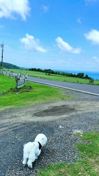 怎么这个六月吹来一阵清风#海边 #台湾