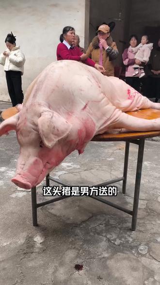 明天拍摄的新娘。今天先过去吃饭。