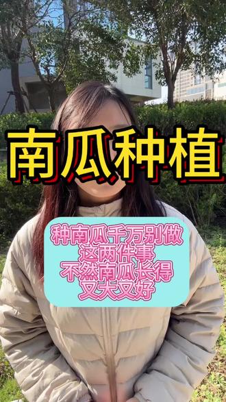 种南瓜千万别做这两件事,不然南瓜长得又大又好#南瓜种植技术 #农业技术分享 #农业技术推广 #南瓜 #农业