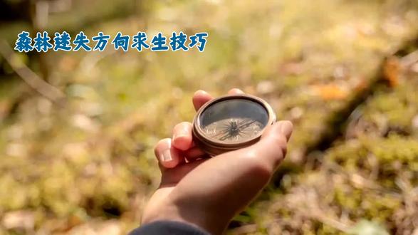 如果在森林迷路该如何自救,认真看完也会对你有帮助#科普 #森林 #热门