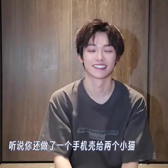 猫猫手机壳🐱🐱 #梓渝 #郑朋 #zy #zp #大鱼和小十一