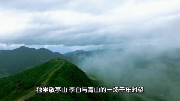 #青草读书#诗词篇#李白《独坐敬亭山》