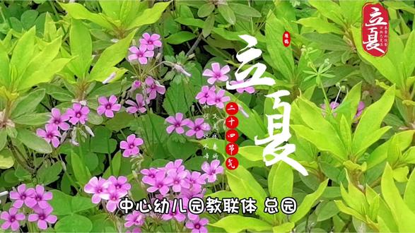#在幼儿园的小世界里 #立夏快乐 #24节气
立夏始,万物长,童心向阳,自在生长