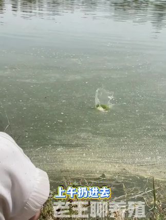 #水产养殖#水产养殖技术#水产人#鱼虾蟹养殖