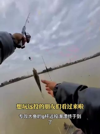 矶竿远投漂鱼漂大物夜光漂日夜两用加粗矶钓路滑专用浮漂咬钩变色