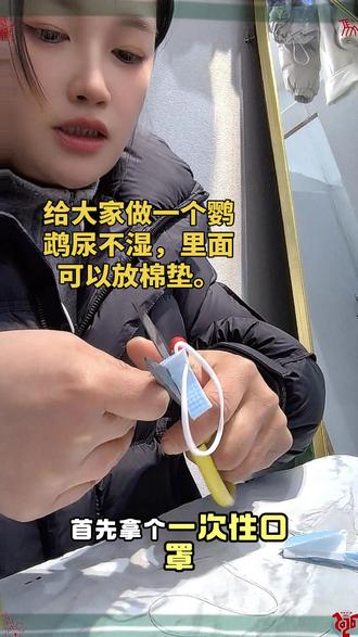 用口罩做鹦鹉尿不湿全教程。不花一分钱。
