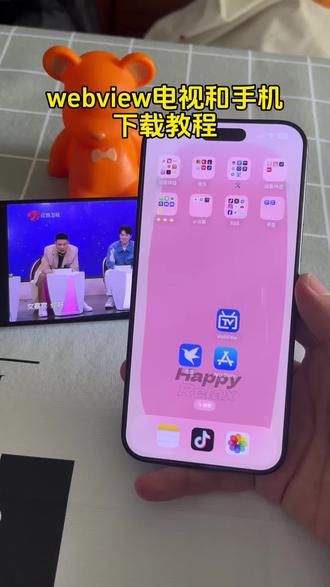 《周六分享》全网都在找的webview纯净版下载教程来了#webview #webview2 #webview2安装 #webview怎么下载