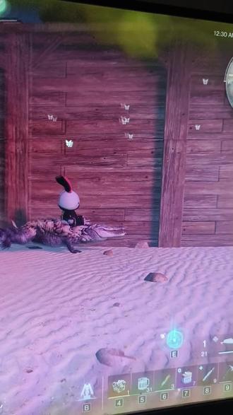 兔子骑着鳄鱼#七日世界