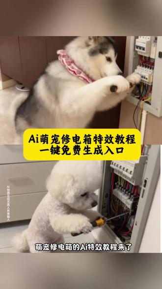 宠物修电箱特效教程来咯!宠物修电箱特效ai,宠物修电箱特效教程,宠物修电箱比熊特效,宠物修电箱可爱特效,宠物修电箱搞笑特效,宠物修电箱热门特效宠物修电箱特效教程,ai宠物修电箱特效教程,宠物修电箱特效#即梦ai #AI萌宠修电箱 #宠物修电箱 #小狗修电箱ai #萌宠成精了 ai萌宠修电箱特效教程 小狗修电箱ai特效 家有萌宠 修理秒变蒲公英 ai萌宠电工 师傅你真的会修吗特效 猫师傅 狗师傅 宠物修电箱
