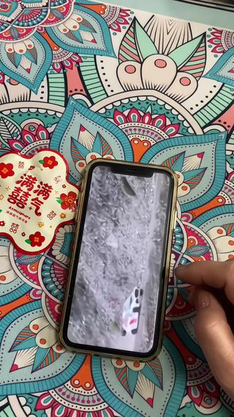 《天寒地冻》wrc拉力赛手机版下载教程#游戏下载 #飞驰人生 #实用小技巧 #拉力赛