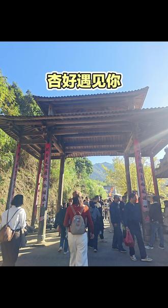 #宝藏乡村 尤溪龙门银杏林