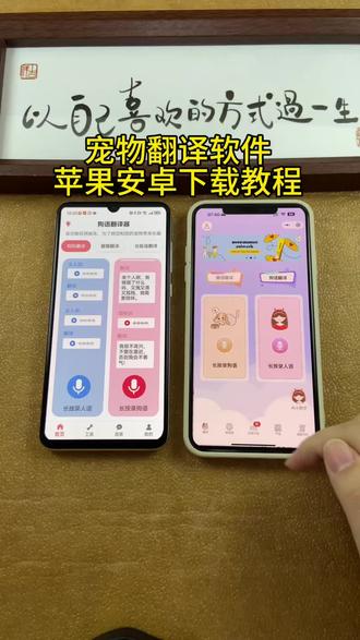 《小邦资源》动物翻译软件下载教程,方便和小动物沟通#动物翻译器 #动物翻译器测试 #动物翻译器下载方法 #动物翻译器正版下载 #动物翻译