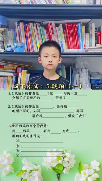 四下语文,琥珀,(一),#四下语文 #琥珀 #小学语文 #四年级语文 #大赫二宝