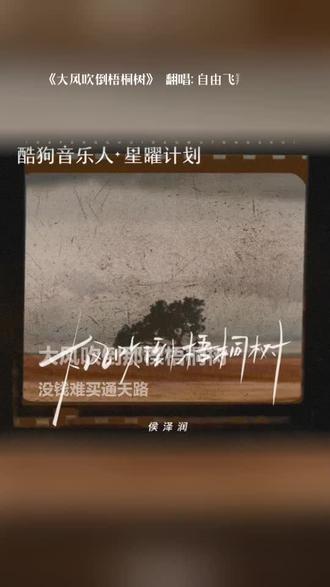 喜欢吗,这首歌叫做 大风吹倒梧桐树#全民k歌 #唱歌不孤单