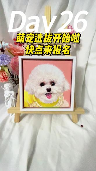 萌宠选拔开始了,还不赶快来报名。 #青年创作者成长计划 #萌宠画像 #宠物肖像画 #画狗#画猫