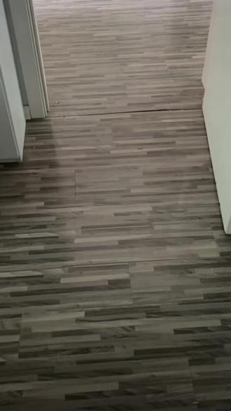 又怂又想干坏事……老虎屁股💨摸一下!挨揍就挨揍👀#新年 #整蛊 #鞭炮 #调皮捣蛋的小家伙