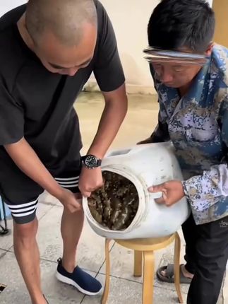 #海鲜 #即食海参 #快来一起尝个鲜