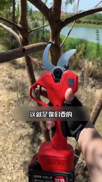 你们要的好用不贵的大开口电动修枝专用剪刀像给花卉绿植剪苗园艺造型果树修剪就方便#修枝剪 #电动修枝剪 #锂电修枝剪 #高性能实用工具