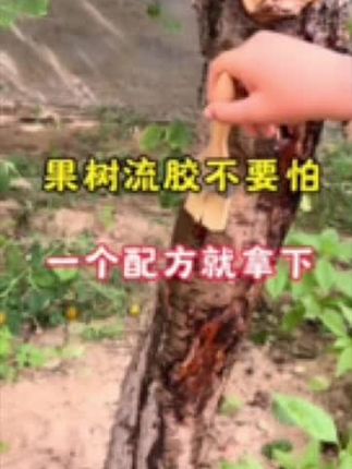 #正能量#正能量传递#正能量上热榜#一念江南官宣#李羲承让粉丝闭眼