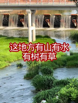 ##农村人的生活就是这样的 #海带头 #美食 @抖音小助手