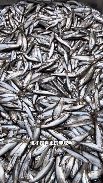 密集恐惧症慎入#捕鱼达人 #鱼获满满