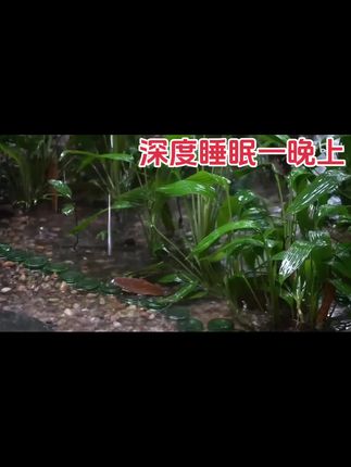 【【真实雨声】30分钟 | 小草上的雨声,白噪音助眠,保证5分钟入睡,最适合睡觉的雨声,学习,放松,白噪音-#睡觉 #解压 #失眠 #雨天 #雨声