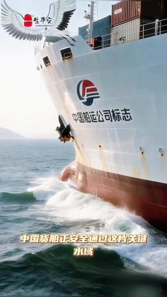 《中国货船顺利通过霍尔木兹海峡,伊朗明确表态:仅针对美以欧及其支持方,中国船只安全无忧》#中国海运 #国际贸易 #头条 #新闻 #热点