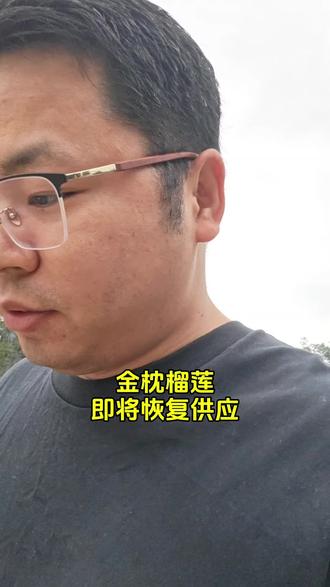 五月下旬这波金枕头榴莲要降价了 泰国东部金枕头基本上逐步减少,向东北部和南部产区靠拢。这时候品质比上半月好多了,但是跟四月底五月初没法比。#水果店商品结构 #水果店全域店商 #金枕头榴莲 #sting之城狂飙飞车 #越南干尧榴莲