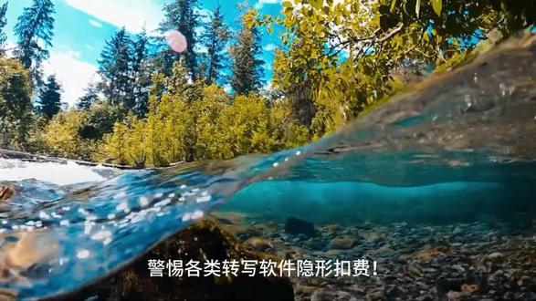 直播想快速提取口播文案? 5 款软件实时抓取直播语音转文字,不用录完整视频,秒出稿件。
# #直播转文字 #实时语音识别 #自媒体素材 #短视频干货