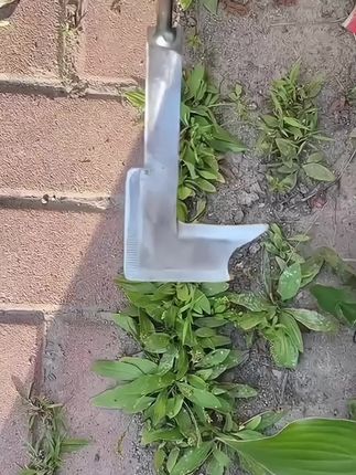 #多功能除草工具#家用园艺农用锄草清理墙缝砖缝工具#除草工具#农用工具 #三农