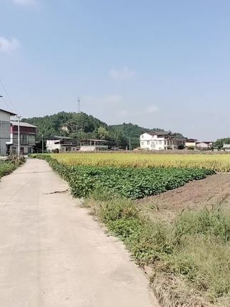 #我的乡村生活 #农村老家 #最美乡村风景 #日常生活 #山青水秀好地方