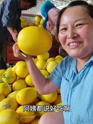 已经拍了蜜瓜的老铁们,你们的瓜正在紧罗密鼓的打包中,先拍的都已经在路上了,你们坐等吃瓜就可以了。#民勤蜜瓜 #蜜瓜基地
