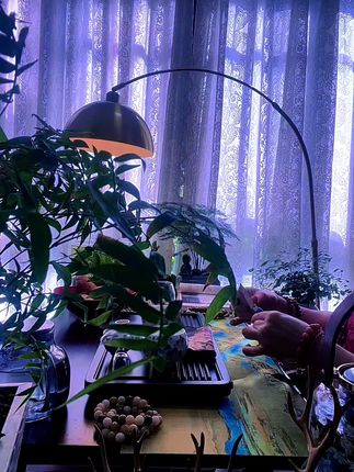 #文玩手串#盘它 #盘它就完了