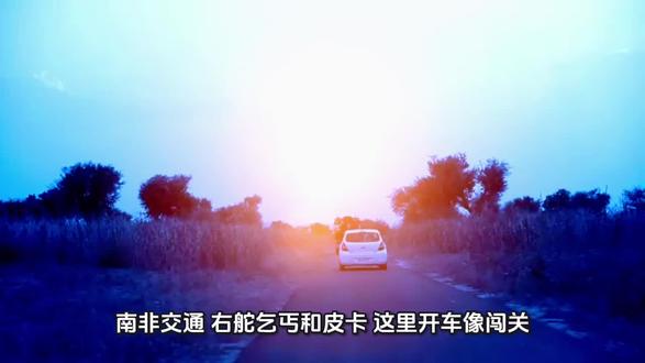 南非交通:右舵、乞丐和皮卡,这里开车像闯关?#南非 #南非观察