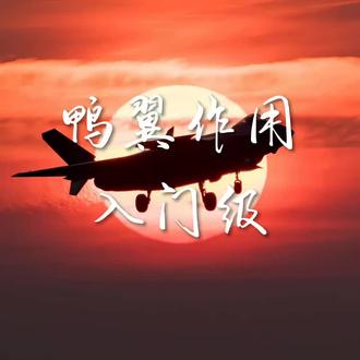 鸭翼真的没用吗,一个视频带你了解。 #鸭翼布局 #鸭翼飞机 #军事武器 #军事武器介绍