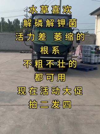 #螃蟹养殖#大闸蟹养殖#河蟹养殖#养大蟹高手#解磷解钾菌