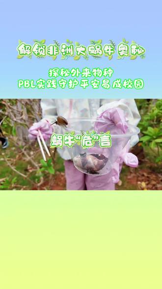 解锁非洲大蜗牛奥秘|探秘外来物种,PBL实践守护平安易成校园#非洲大蜗牛 #校园生活 #探秘 #普洱市思茅区易成实验学校 #普洱易成高级中学