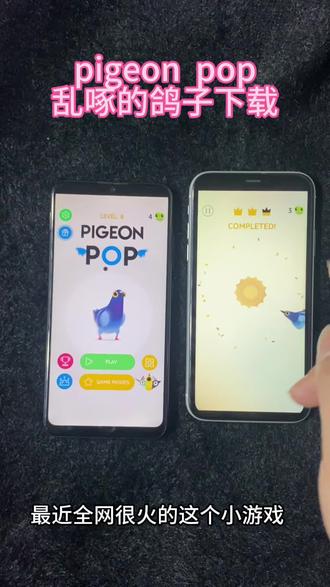 《冬月宝库》pigeonpop疯狂的鸽子最新版安卓苹果下载安装教程 鸽子吃玉米小游戏#pigeonpop #疯狂的鸽子 #古菇顾 #游戏 #节奏感