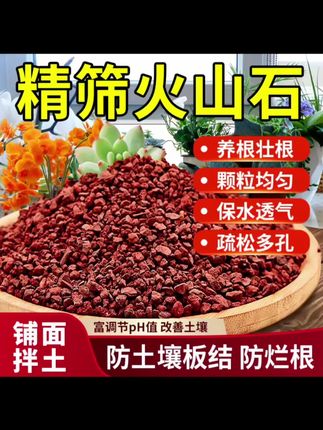 #精品火山石颗粒 #鱼缸过滤火山石 #植物铺面火山石 促进透气营养土#天然火山石子