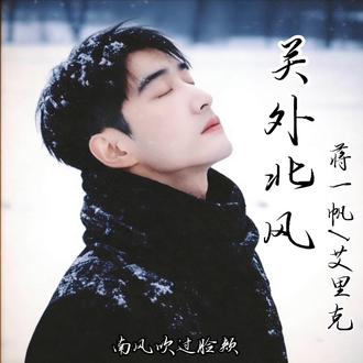 “有钱没钱回家过年”#蒋一帆#艾里克 #歌曲关外北风 #回家过年 #每一片雪花都喊着回家回家