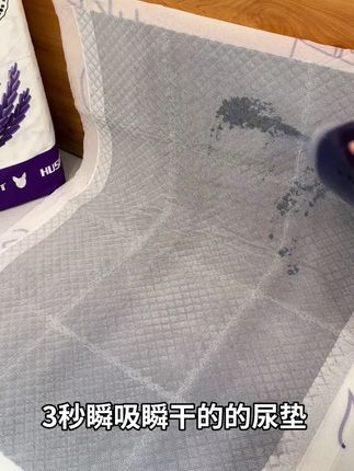 天热了,不想家里臭臭的,快用这个品质好的薰衣草尿垫#乐事宠 #乐事宠尿垫 #尿垫狗狗 #消臭尿垫 #萌宠好物