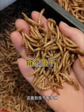 铜今日铜价格 #铜 #大宗商品 #掘金计划2025